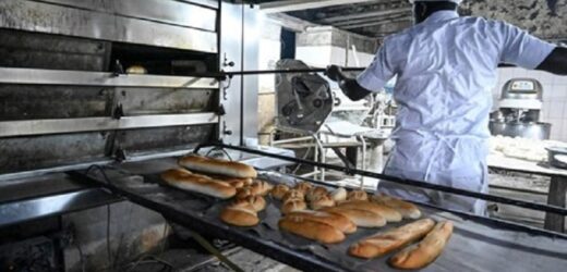 Côte d’Ivoire  Le Gouvernement adopte un décret pour réguler le secteur de la boulangerie