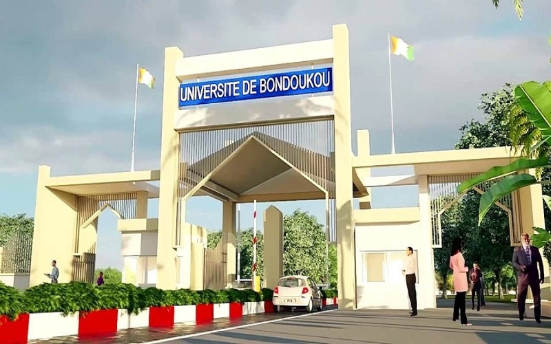 Université de Bondoukou