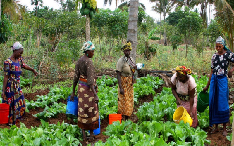 Journée femmes rurales