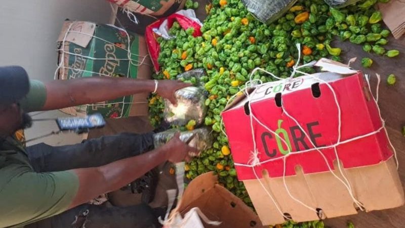 Une cargaison de tramadol dissimulée dans du piment intercepté à Bouaké