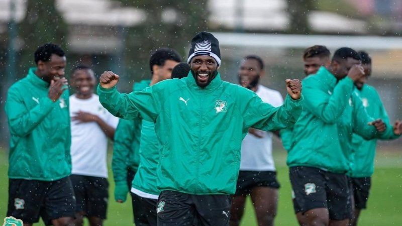 Le test de vérité pour les Éléphants