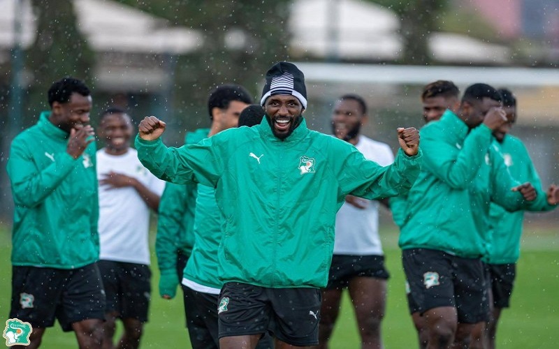 Le test de vérité pour les Éléphants