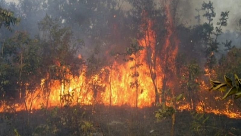 Près de 200 000 hectares de forêts détruits par les feux de brousse en Côte d’Ivoire depuis 2019