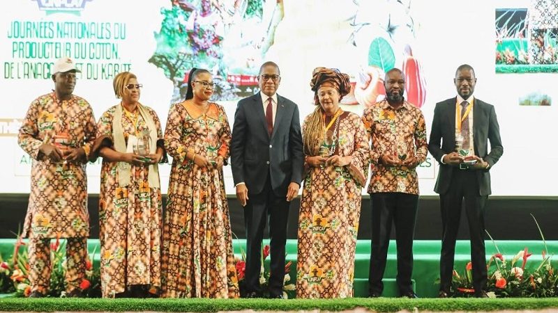 Côte d’Ivoire /Le kilogramme de noix de cajou fixé à 400 FCFA bord champ