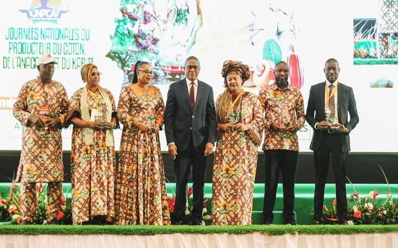 Cote d’ivoire / Le kilogramme de noix de cajou fixé à 400 FCFA bord champ