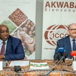 Marché du cacao : les grands pays producteurs en quête de solutions face à la volatilité des prix