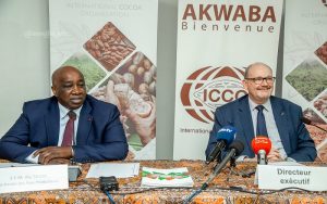 Marché du cacao : les grands pays producteurs en quête de solutions face à la volatilité des prix