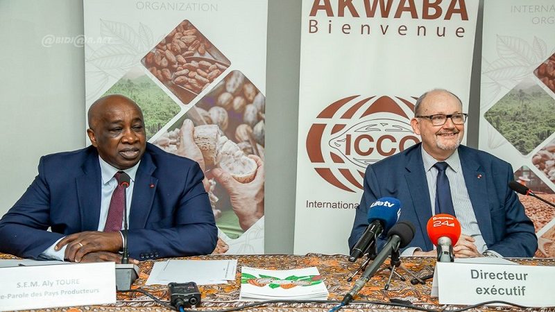 Marché du cacao : les grands pays producteurs en quête de solutions face à la volatilité des prix