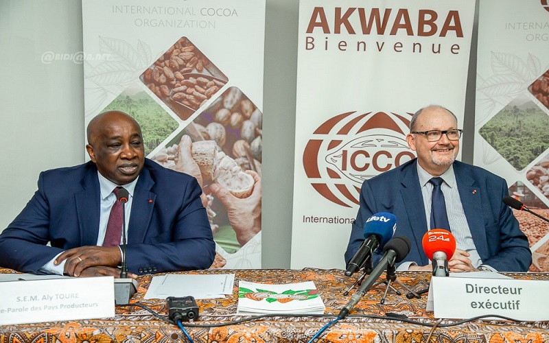 Marché du cacao : les grands pays producteurs en quête de solutions face à la volatilité des prix
