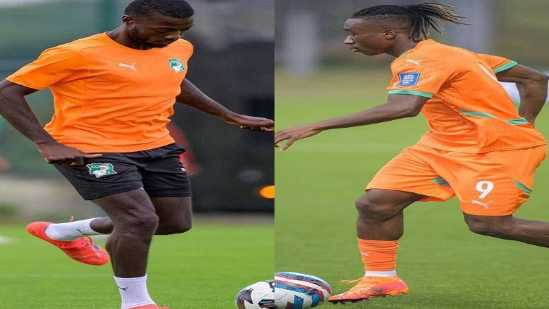 Côte d’Ivoire /Nicolas Pépé remplace Yan Diomandé