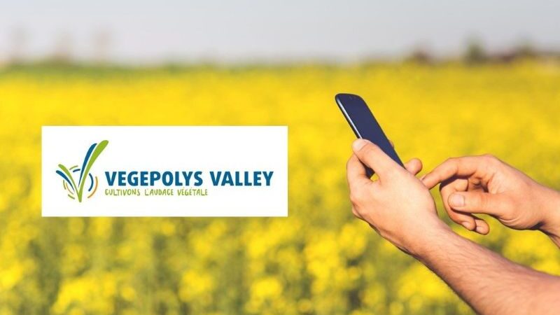 Une mission collective de Vegepolys Valley à Abidjan pour renforcer la coopération franco-ivoirienne