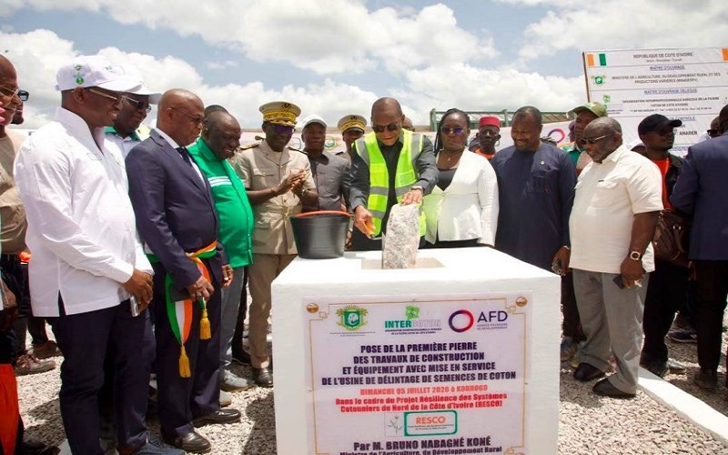Filière coton / la Côte d’Ivoire renforce sa stratégie de modernisation avec de nouvelles infrastructures