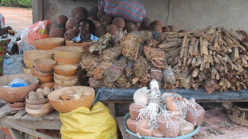 Il y a 23 ans, l’OMS instituait la ‘’ Journée Africaine de la médecine traditionnelle ’’