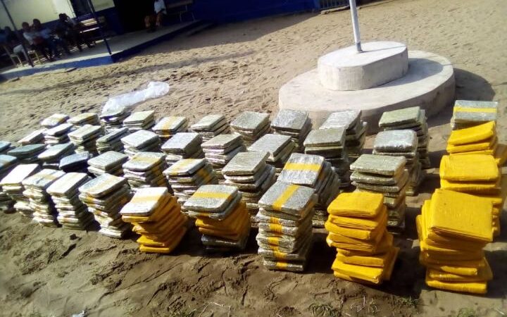 Côte d’Ivoire / cinq fumoirs détruits à Abidjan plus de 11 kg de cannabis saisis